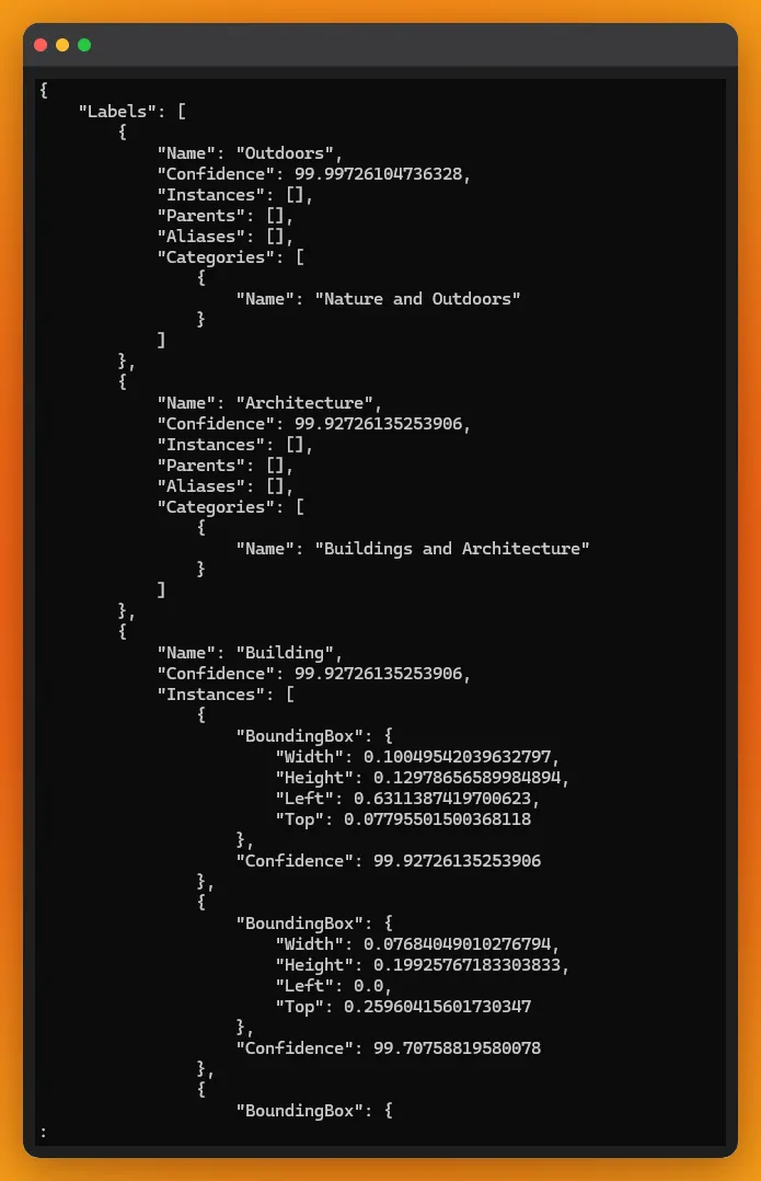 Screenshot of the terminal with the JSON output